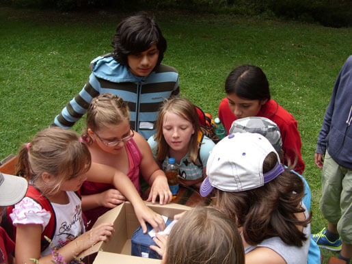 diakonisches-werk-rheingau-taunus