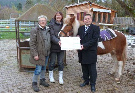 frauen-helfen-frauen